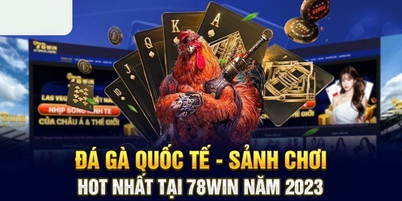 Khái niệm đá gà tại 78Win là gì?