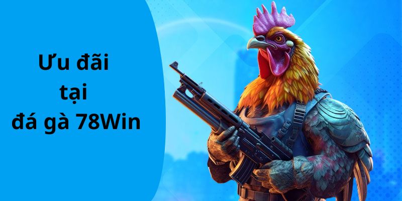Những chương trình ưu đãi đặc biệt tại đá gà 78win