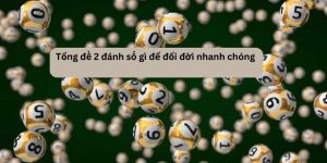 Giải đáp chi tiết đề tổng 2 hôm sau đánh con gì?