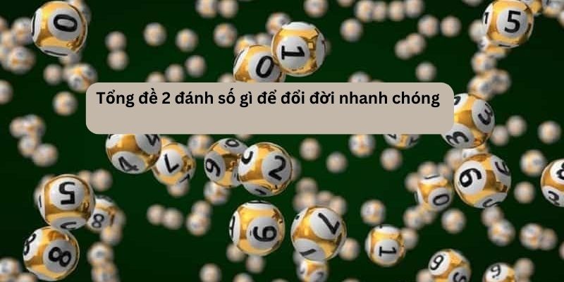 Giải đáp chi tiết đề tổng 2 hôm sau đánh con gì?